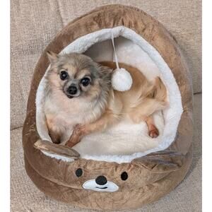 Quality Dog Bed Removable Washable Plush Thick Comfy Warm 15x14x12" Brown H